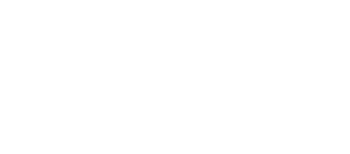 Business News Network Logo